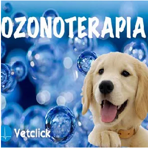 Intervista Radiofonica Ozonoterapia