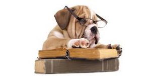 Leggere etichette cibo animali