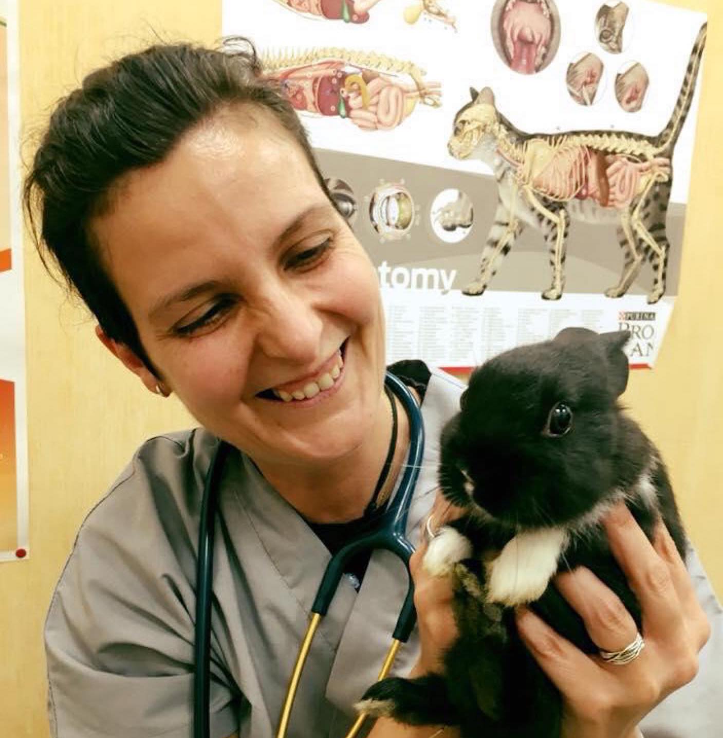 Dott.ssa Cinzia Ciarmatori