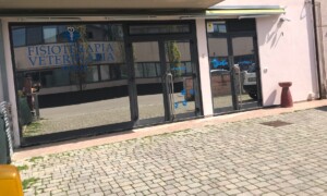 Ingresso Secondario Fisioterapia Veterinaria Pisa