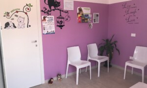 Sala d'attesa ambulatori veterinari