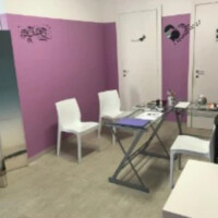 Uffici Fisioterapia Veterinaria Pisa