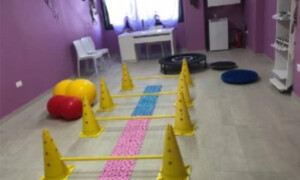 Palestra animali fisioterapia veterinaria