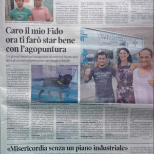 Articolo sul Tirreno - Agoupuntura veterinaria