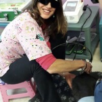 Laserterapia Veterinaria