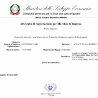 Marchio registrato Fisioterapia Veterinaria Pisa