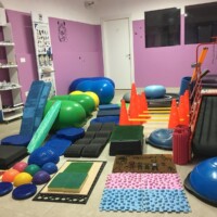 Palestra Fisioterapia Veterinaria Pisa